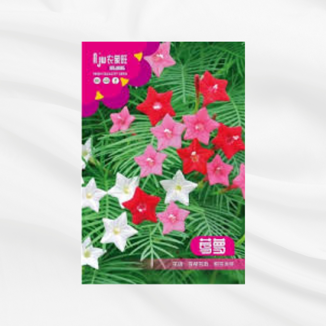 Kunjo Lota Ful Seeds – Premium Imported Garden Seeds in Bangladesh