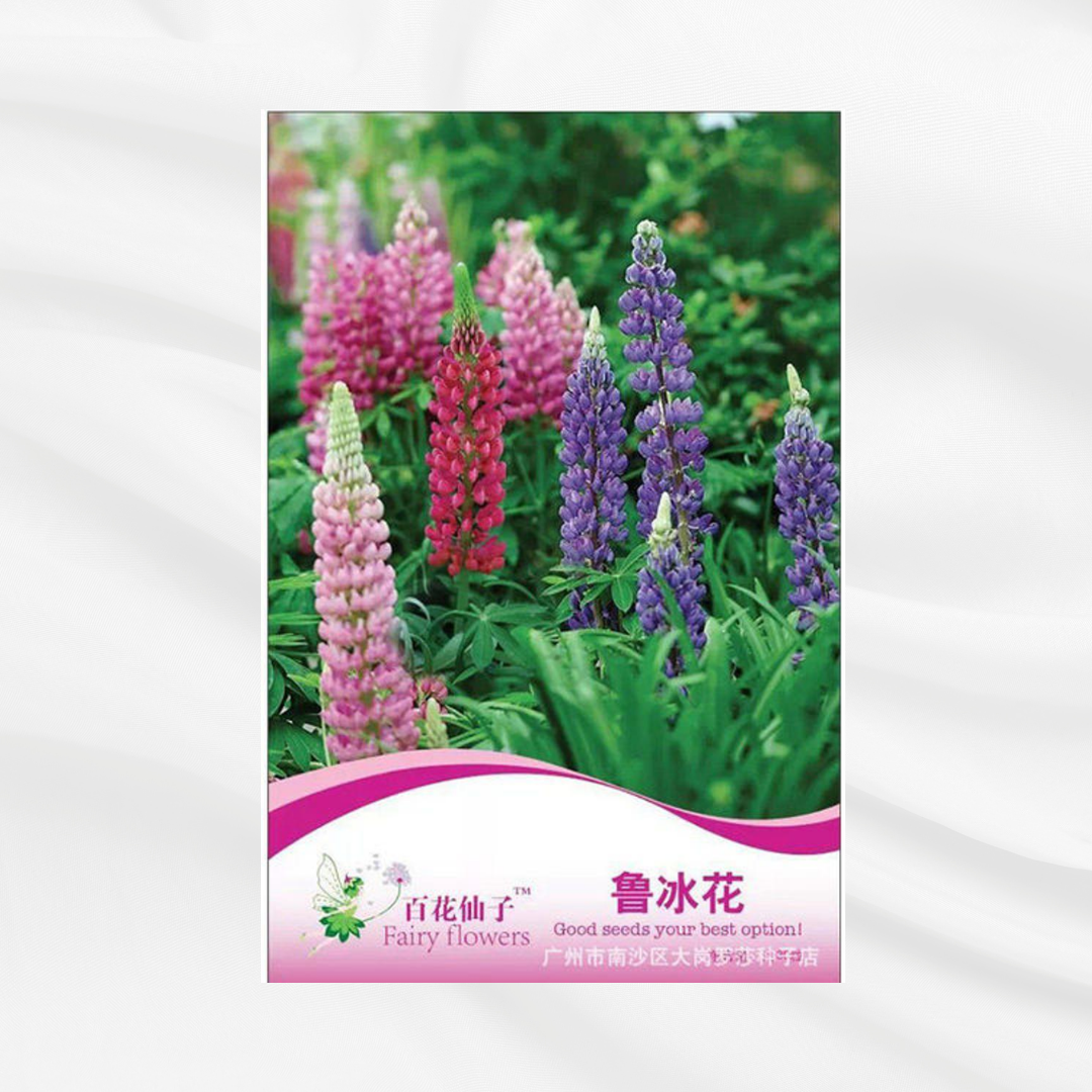 Lupin Seeds – Premium Imported Garden Seeds in Bangladesh