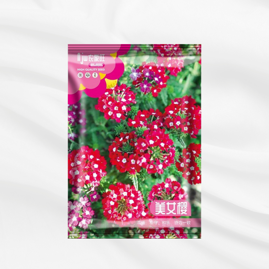 Sakura Seeds – Premium Imported Garden Seeds in Bangladesh