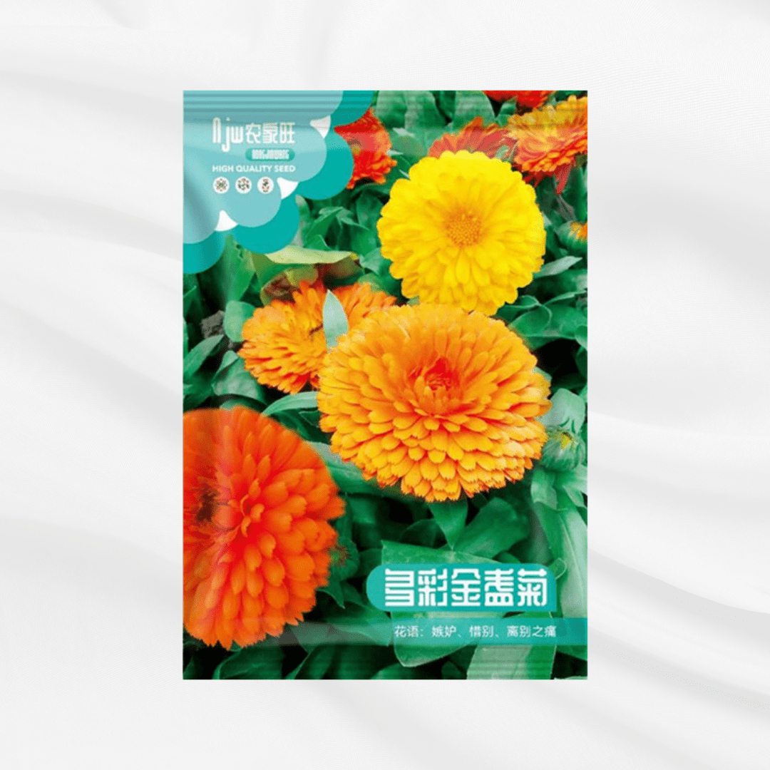 Changcai Jin Seeds – Premium Imported Garden Seeds in Bangladesh - Bonoya
