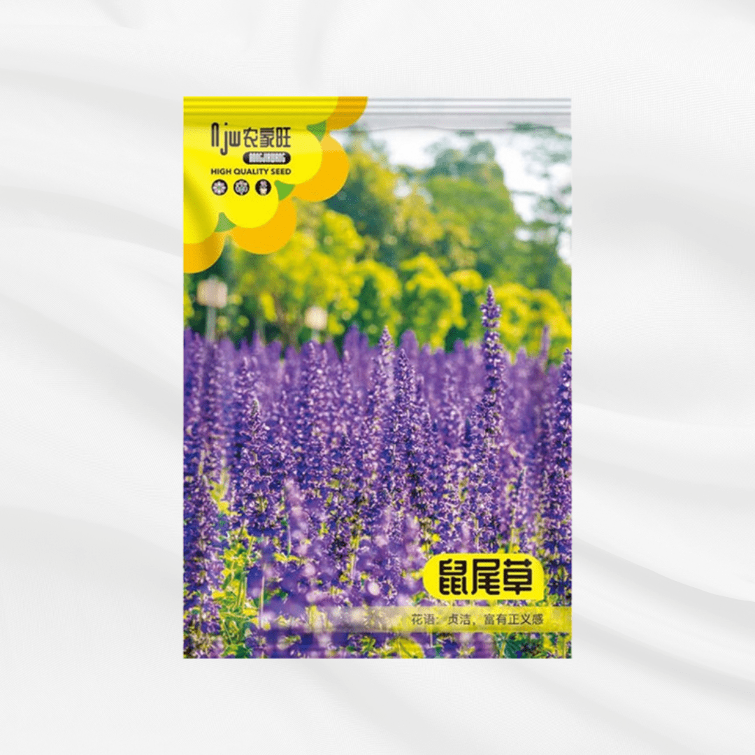 Sage Seeds – Premium Imported Garden Seeds in Bangladesh - Bonoya