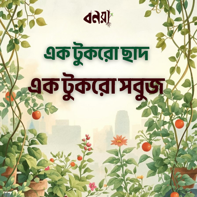 Roof Top Garden Handbook