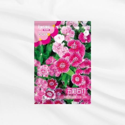 Daenthus Seeds – Premium Imported Garden Seeds in Bangladesh