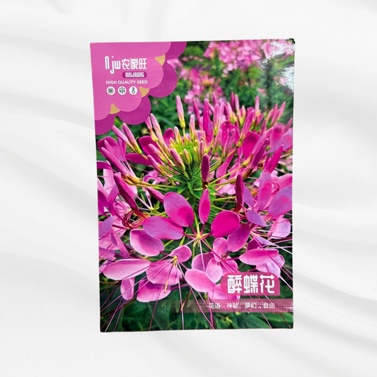 Drunken Snail Flower Seeds – Premium Imported Garden Seeds in Bangladesh