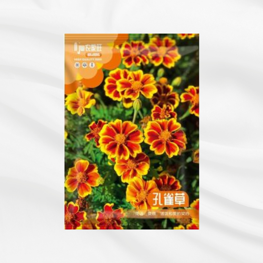 French Mariglod – Premium Imported Garden Seeds in Bangladesh
