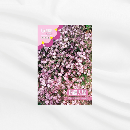 Purple Star Seeds – Premium Imported Garden Seeds in Bangladesh