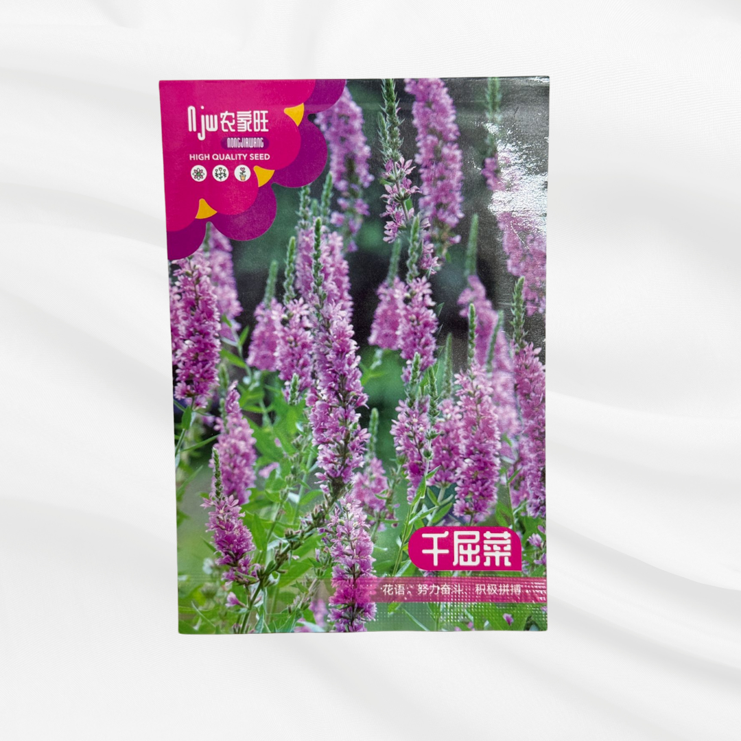 Qianqucai Seeds – Premium Imported Garden Seeds in Bangladesh