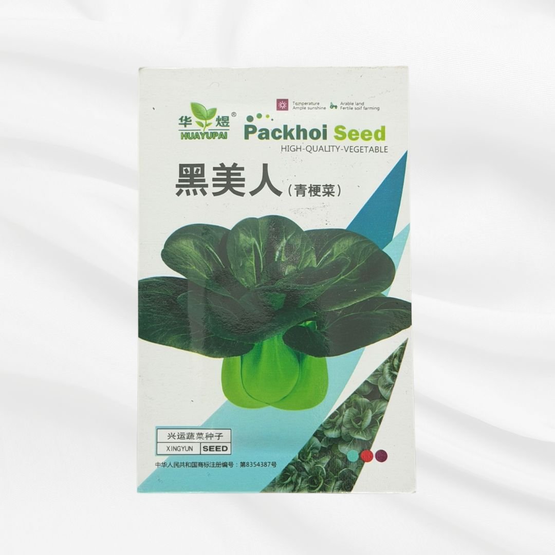 Black Beauty Pak Choi Seed – Premium Dark Leaf Variety - Bonoya