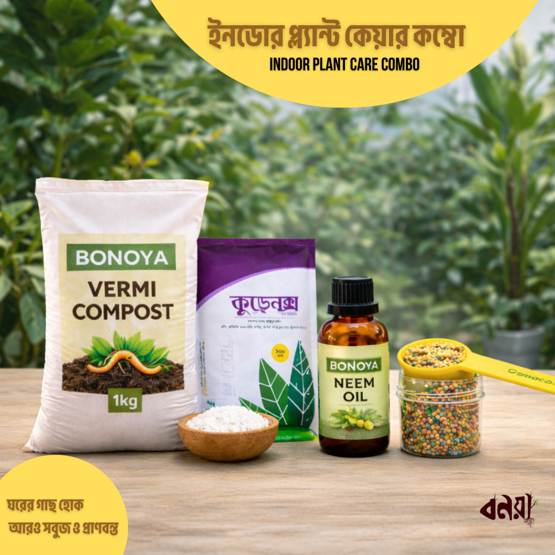 বনয়া ইনডোর প্ল্যান্ট কেয়ার কম্বো - Bonoya