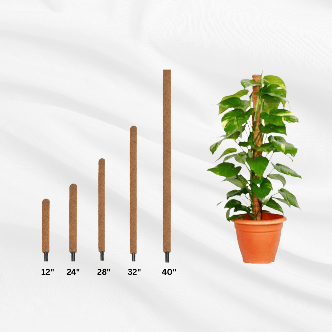 Growing Stick Coco Grow Stick for Plant Support – Bonoya