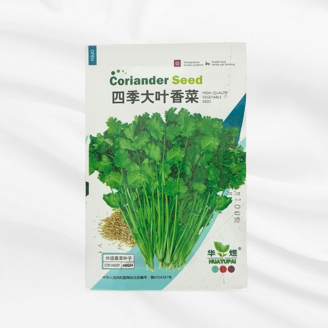 Coriander Seed | Four Season Large Leaf Variety - Bonoya