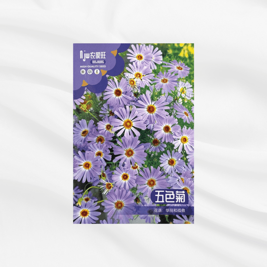 Daisy Seeds – Premium Imported Garden Seeds in Bangladesh - Bonoya