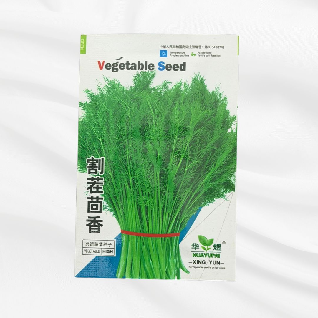 Dill Seed – Premium Aromatic Herb Variety - Bonoya