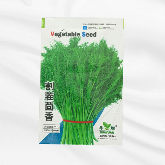 Dill Seed – Premium Aromatic Herb Variety - Bonoya