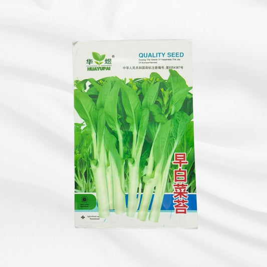Early White Stem Mustard Green Seed – High Quality Leafy Vegetable Variety - Bonoya