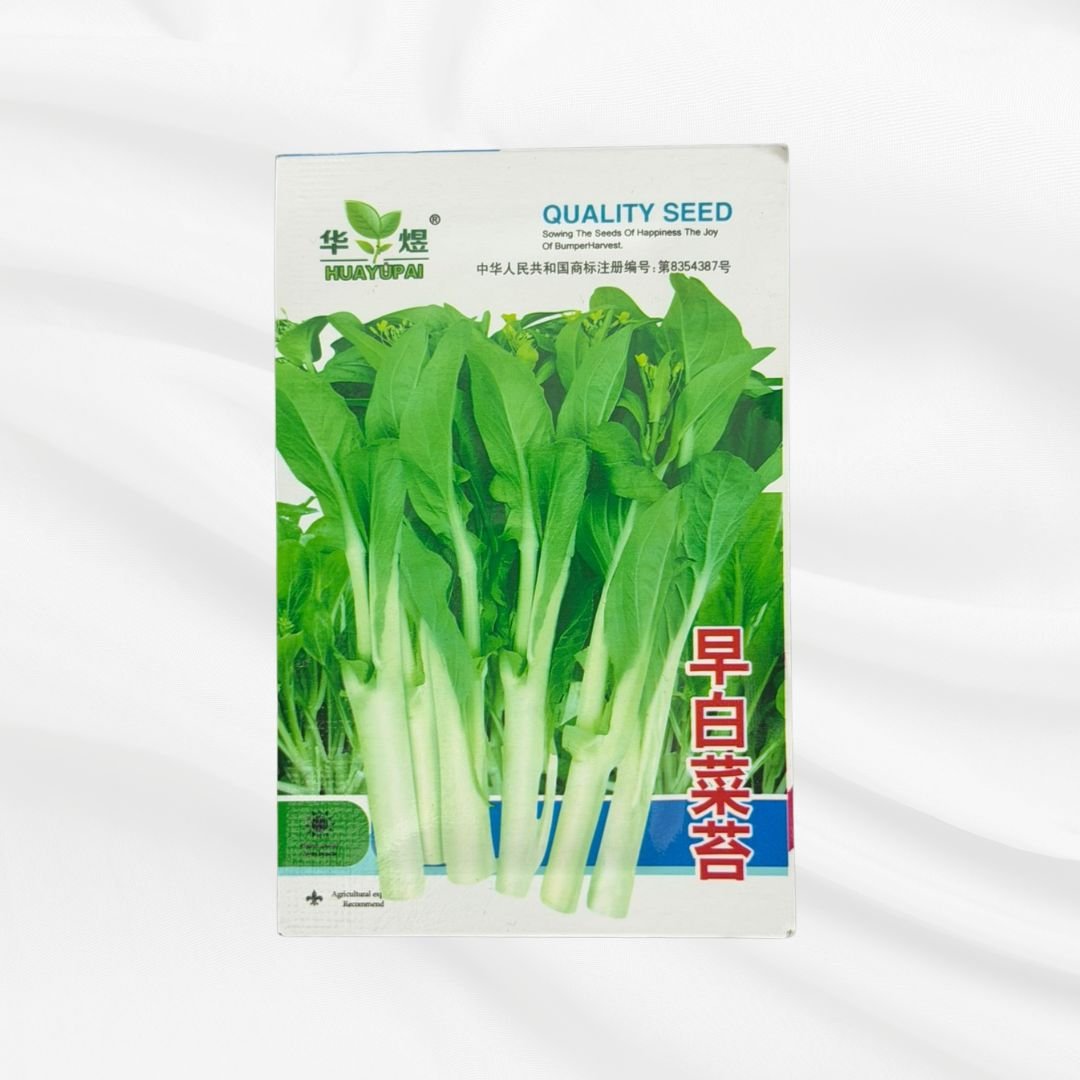 Early White Stem Pak Choi Seed – Premium High Yield Variety - Bonoya
