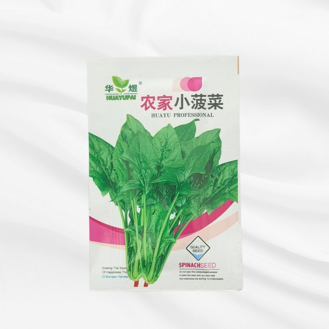 Farmhouse Spinach Seed – Premium High Yield Leafy Variety - Bonoya
