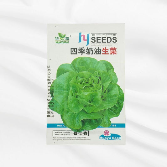Four Season Butter Lettuce Seed – Premium Soft Leaf Variety - Bonoya