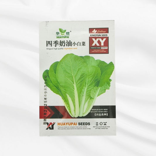 Four Season Creamy Baby Cabbage Seed – Premium High Yield Variety - Bonoya