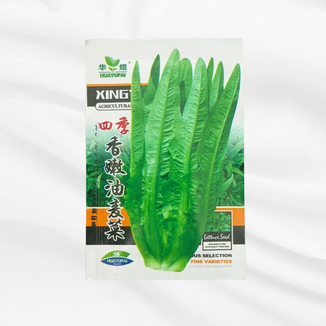 Four Season Lettuce Seed – Premium Long Leaf Variety - Bonoya