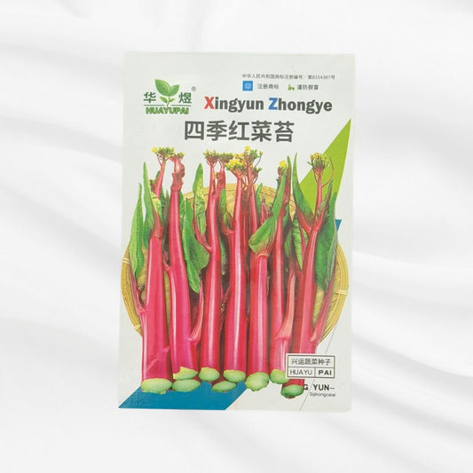 Four Season Red Stem Leaf Vegetable Seed – Premium High Yield Variety - Bonoya