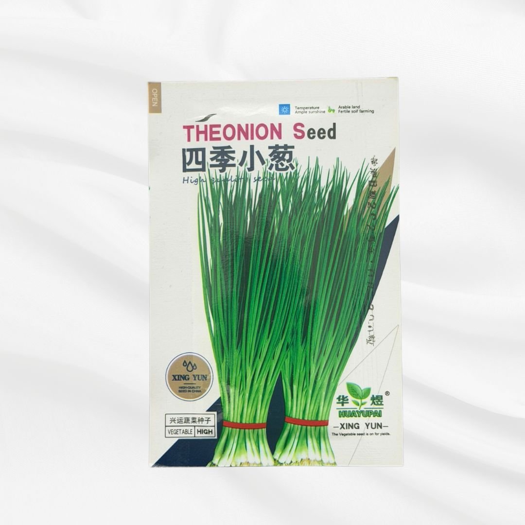 Four Season Spring Onion Seed – Premium Green Scallion Variety - Bonoya