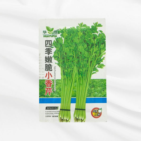 Four Season Tender Chinese Celery Seed – Premium Aromatic Variety - Bonoya