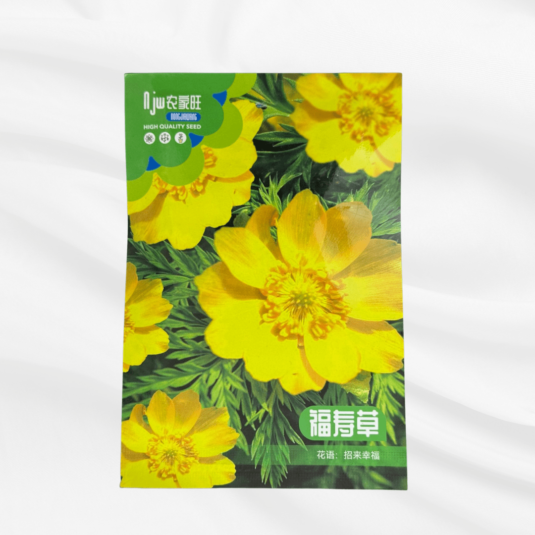 Fu Jing Seeds – Premium Imported Garden Seeds in Bangladesh - Bonoya