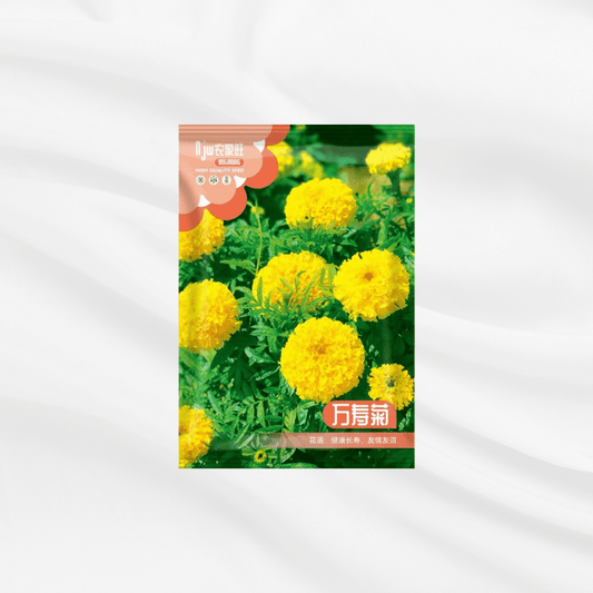 Gadha Ful Seeds – Premium Imported Garden Seeds in Bangladesh - Bonoya