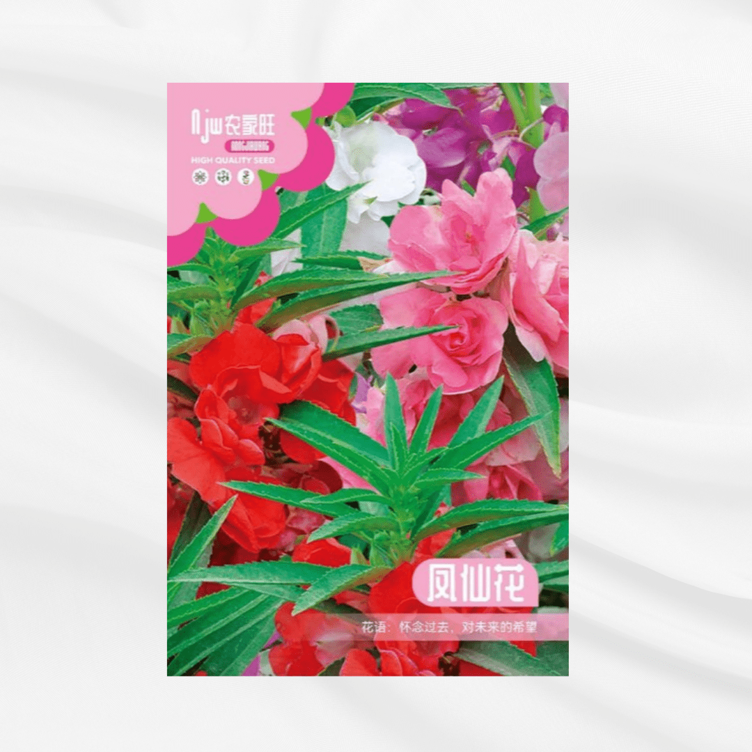 Garden Bloosom Seeds – Premium Imported Garden Seeds in Bangladesh - Bonoya