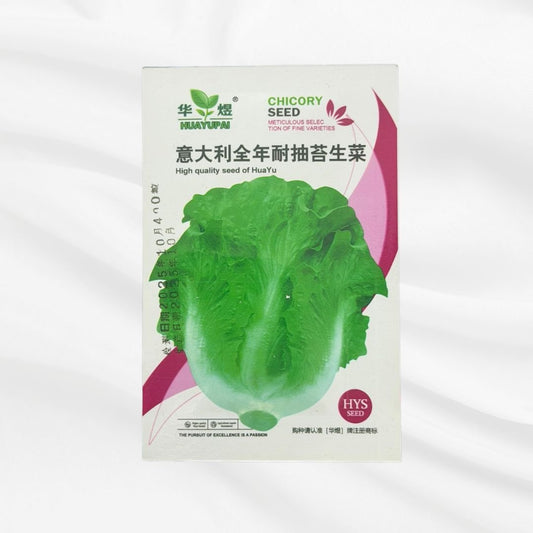 Italian Chicory Seed – All Season High Quality Variety - Bonoya