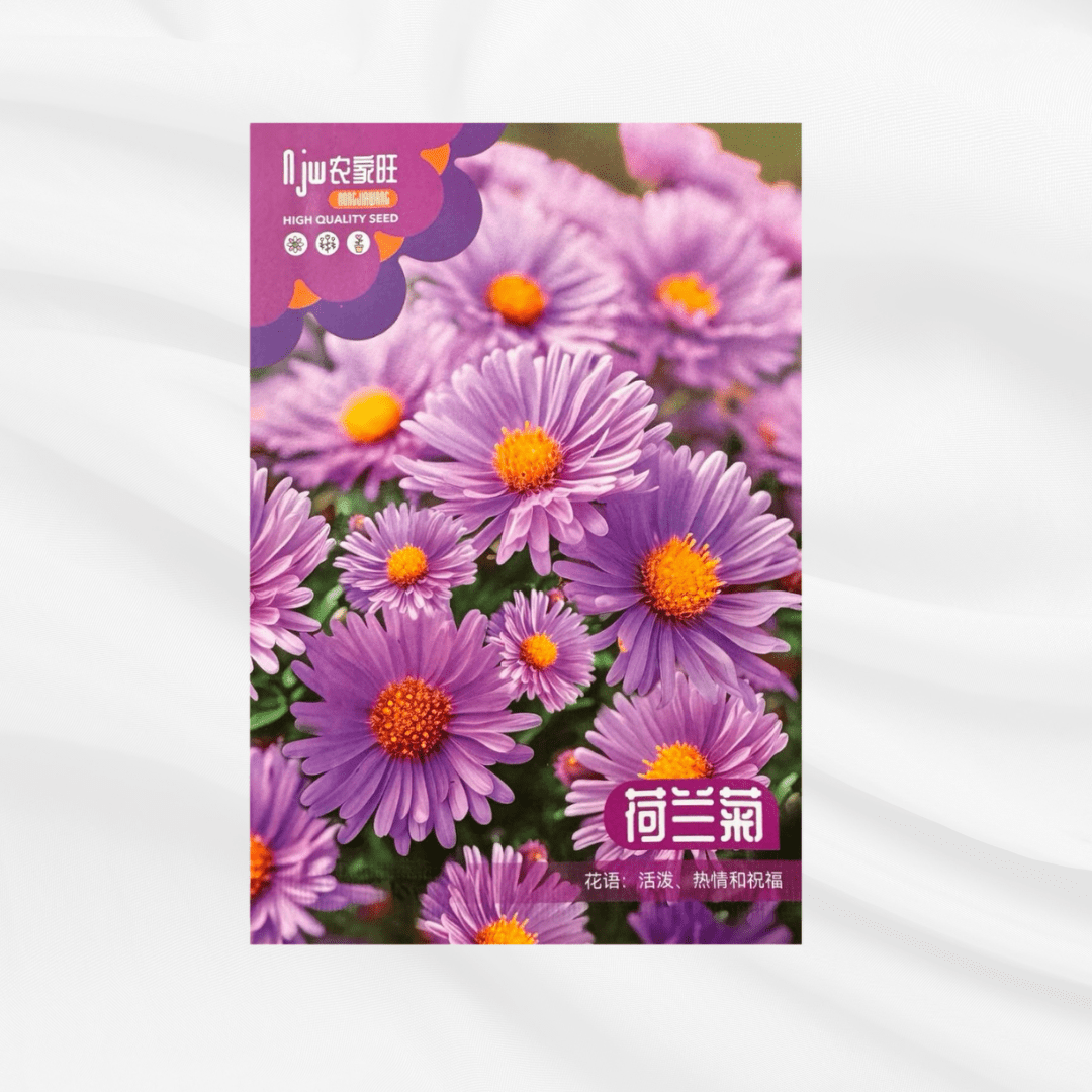 Kelan Jing Seeds – Premium Imported Garden Seeds in Bangladesh - Bonoya