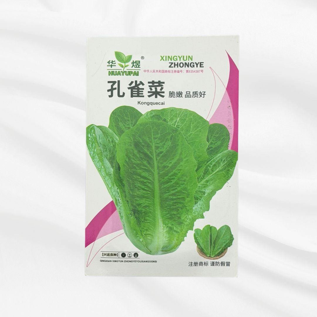 Kongque Romaine Lettuce Seed – Premium Crisp Leaf Variety - Bonoya