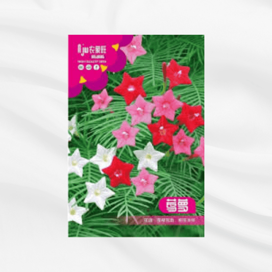 Kunjo Lota Ful Seeds – Premium Imported Garden Seeds in Bangladesh - Bonoya