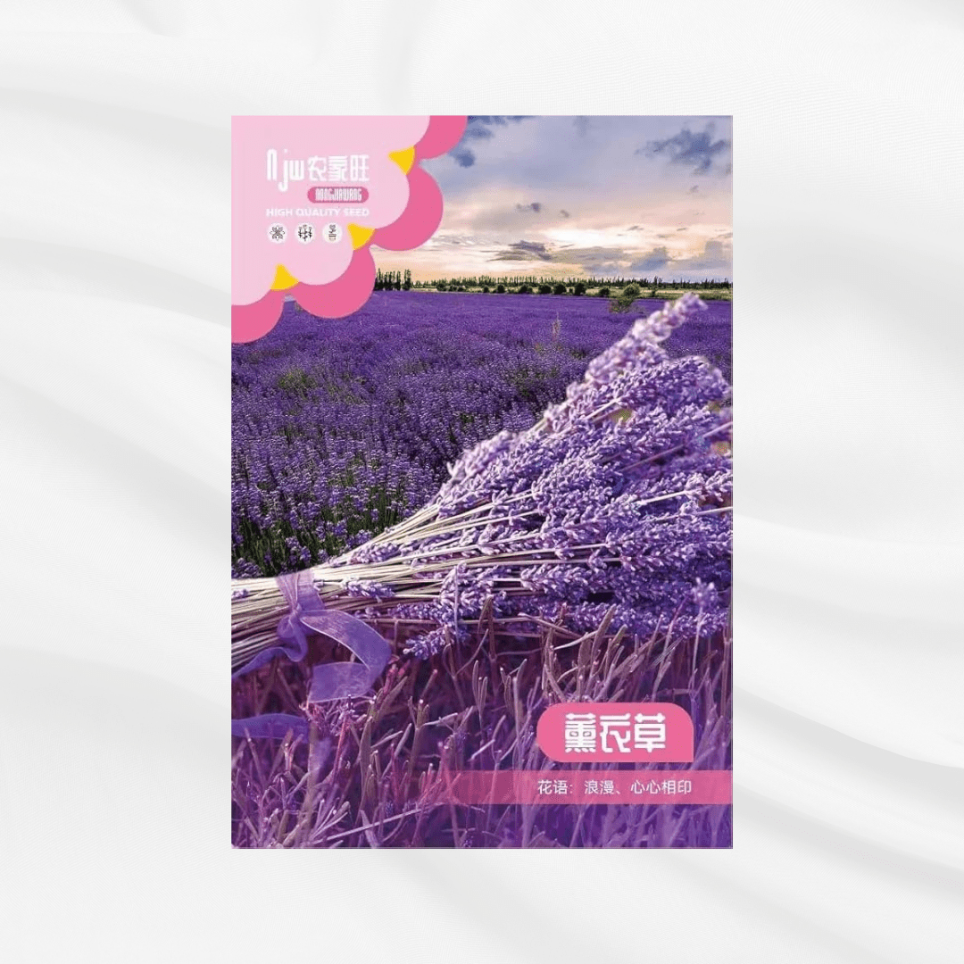 Lavender Seeds – Premium Imported Garden Seeds in Bangladesh - Bonoya