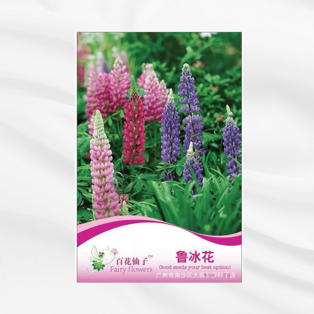 Lupin Seeds – Premium Imported Garden Seeds in Bangladesh - Bonoya