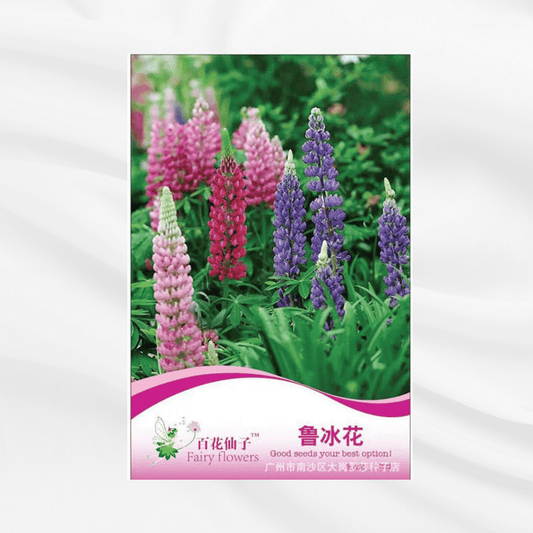 Lupin Seeds – Premium Imported Garden Seeds in Bangladesh - Bonoya
