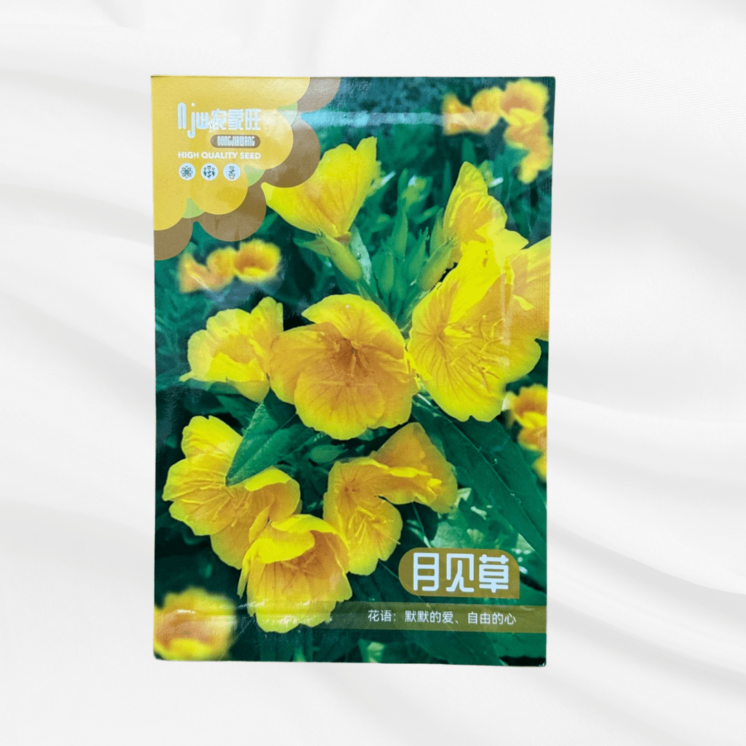 Monsee Grass Seeds – Premium Imported Garden Seeds in Bangladesh - Bonoya