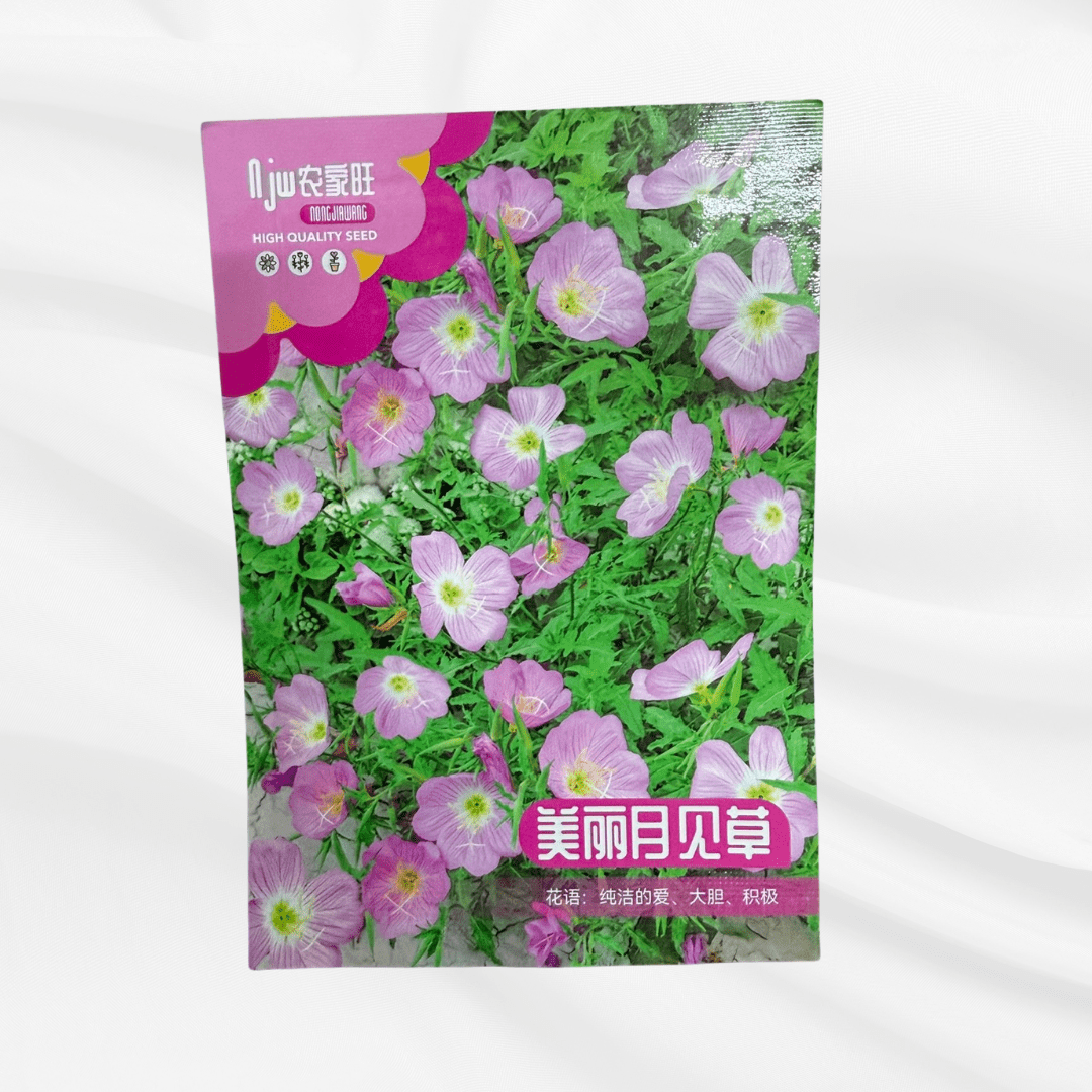 Moonsee Grass Seeds – Premium Imported Garden Seeds in Bangladesh - Bonoya