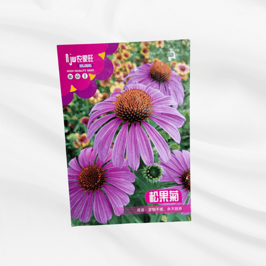 Pine Flower Seeds – Premium Imported Garden Seeds in Bangladesh - Bonoya