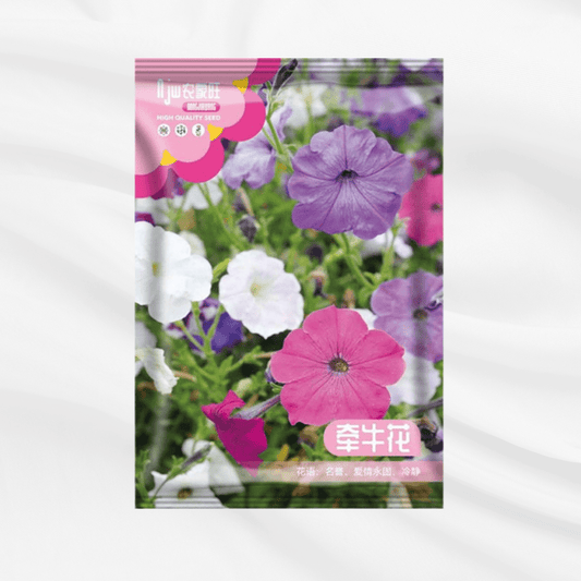 Pitunia Seeds – Premium Imported Garden Seeds in Bangladesh - Bonoya