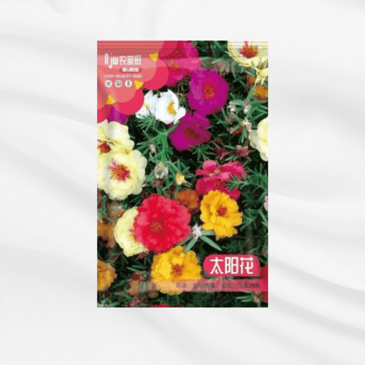 Portolika Seeds – Premium Imported Garden Seeds in Bangladesh - Bonoya