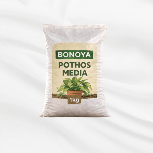 Pothos media planting mix for indoor pothos plants