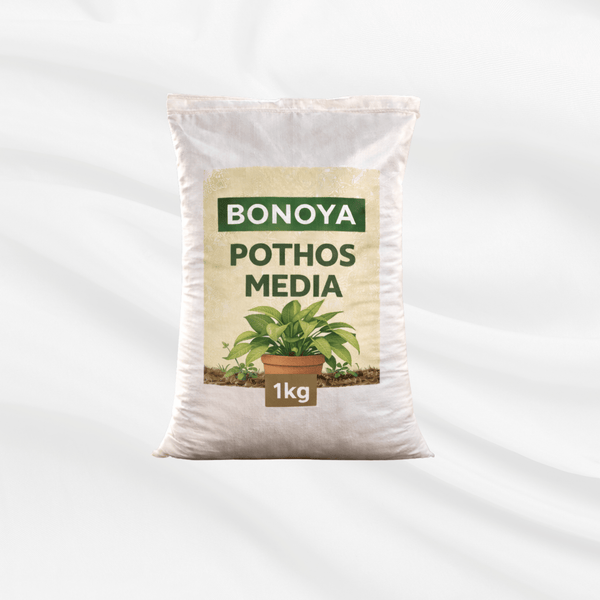 Pothos media planting mix for indoor pothos plants