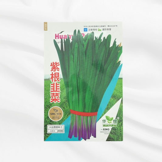 Purple Root Chinese Chives Seed – Premium High Yield Variety - Bonoya