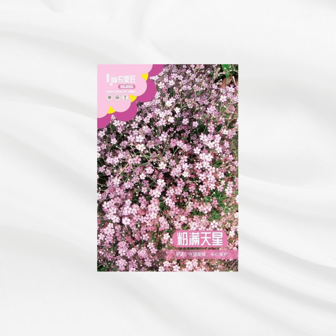 Purple Star Seeds – Premium Imported Garden Seeds in Bangladesh - Bonoya