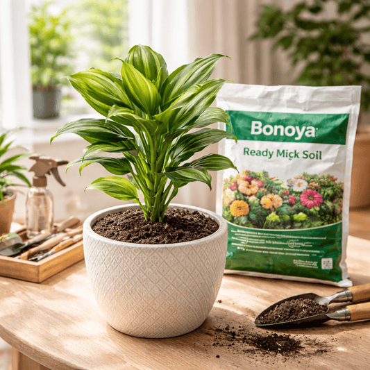 Ready Mix Soil 5kg balanced potting soil for plants