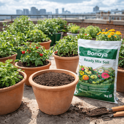 Ready Mix Soil 5kg balanced potting soil for plants