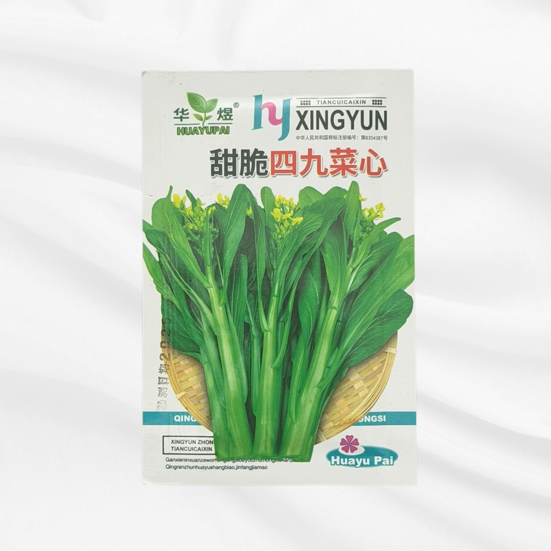 Sweet 49 Mustard Heart Seed – Premium Tender Leaf Variety - Bonoya