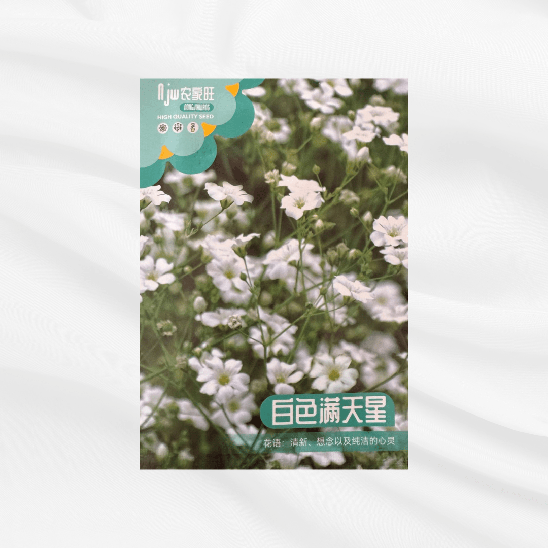 White Sky Seeds – Premium Imported Garden Seeds in Bangladesh - Bonoya